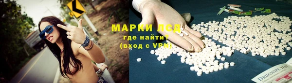 стаф Аркадак