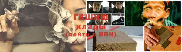 стаф Аркадак