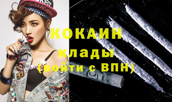 стаф Аркадак