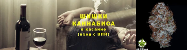 PSILOCYBIN Армянск