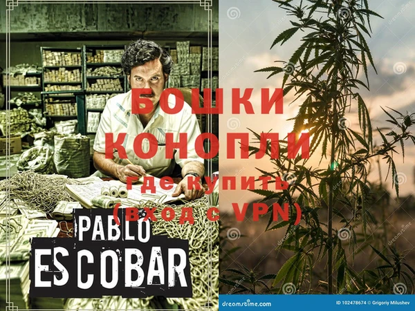 стаф Аркадак