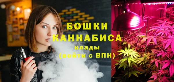 стаф Аркадак