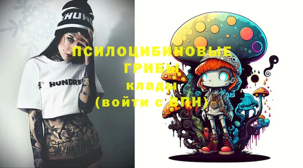 стаф Аркадак