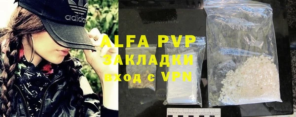стаф Аркадак