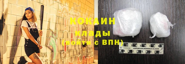 стаф Аркадак