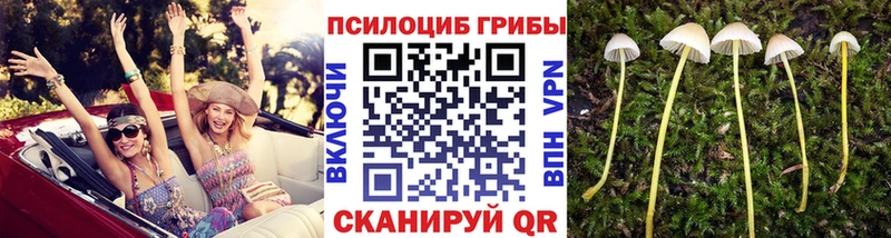 Галлюциногенные грибы Cubensis  Белебей 